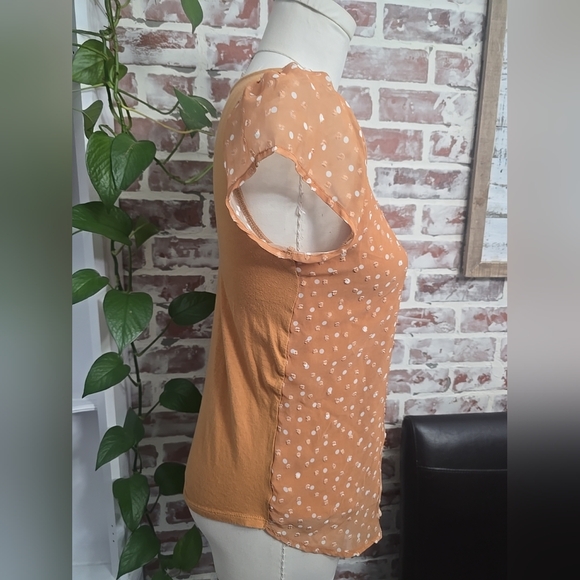 Lauren Conrad Womens top sz small - Picture 3 of 5